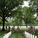 Flags In at Arlington National Cemetery 2026&amp;#x9;