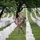Flags In at Arlington National Cemetery 2026&amp;#x9;