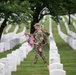 Flags In at Arlington National Cemetery 2026&amp;#x9;