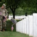 Flags In at Arlington National Cemetery 2026&amp;#x9;