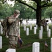 Flags In at Arlington National Cemetery 2026&amp;#x9;