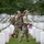 Flags In at Arlington National Cemetery 2026&amp;#x9;