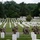 Flags In at Arlington National Cemetery 2026&amp;#x9;