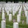 Flags In at Arlington National Cemetery 2026&amp;#x9;