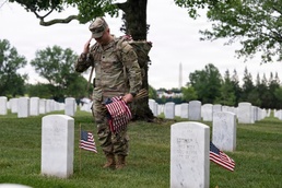 Flags In at Arlington National Cemetery 2026&amp;#x9;