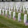 Flags In at Arlington National Cemetery 2026&amp;#x9;