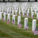 Flags In at Arlington National Cemetery 2026&amp;#x9;
