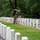 Flags In at Arlington National Cemetery 2026&amp;#x9;