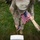 Flags In at Arlington National Cemetery 2026&amp;#x9;