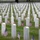 Flags In at Arlington National Cemetery 2026&amp;#x9;