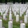 Flags In at Arlington National Cemetery 2026&amp;#x9;