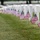 Flags In at Arlington National Cemetery 2026&amp;#x9;