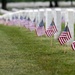 Flags In at Arlington National Cemetery 2026&amp;#x9;