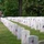 Flags In at Arlington National Cemetery 2026&amp;#x9;