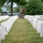 Flags In at Arlington National Cemetery 2026&amp;#x9;
