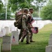 Flags In at Arlington National Cemetery 2026&amp;#x9;