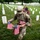 Flags In at Arlington National Cemetery 2026&amp;#x9;