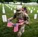 Flags In at Arlington National Cemetery 2026&amp;#x9;