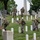 Flags In at Arlington National Cemetery 2026&amp;#x9;