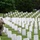 Flags In at Arlington National Cemetery 2026&amp;#x9;