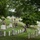 Flags In at Arlington National Cemetery 2026&amp;#x9;
