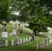 Flags In at Arlington National Cemetery 2026&amp;#x9;