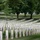 Flags In at Arlington National Cemetery 2026&amp;#x9;