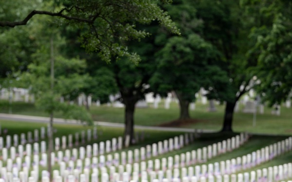 Flags In at Arlington National Cemetery 2026&amp;#x9;