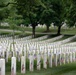 Flags In at Arlington National Cemetery 2026&amp;#x9;