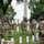 Flags In at Arlington National Cemetery 2026&amp;#x9;