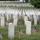 Flags In at Arlington National Cemetery 2026&amp;#x9;