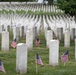 Flags In at Arlington National Cemetery 2026&amp;#x9;