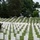 Flags In at Arlington National Cemetery 2026&amp;#x9;