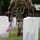 Flags In at Arlington National Cemetery 2026&amp;#x9;