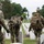 Flags In at Arlington National Cemetery 2026&amp;#x9;