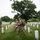 Flags In at Arlington National Cemetery 2026&amp;#x9;