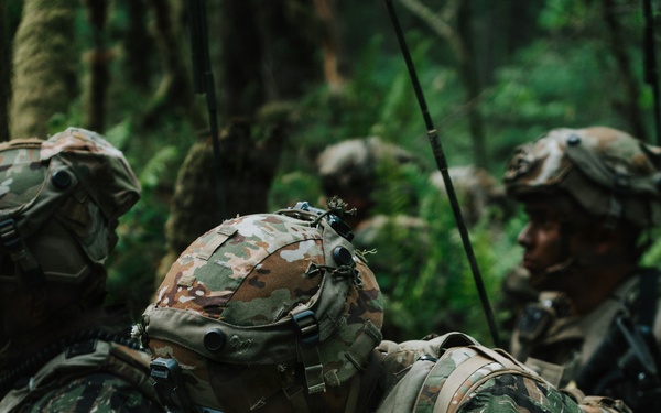 Western Strike integrates training for conventional and unconventional forces at JBLM