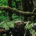 Western Strike integrates training for conventional and unconventional forces at JBLM