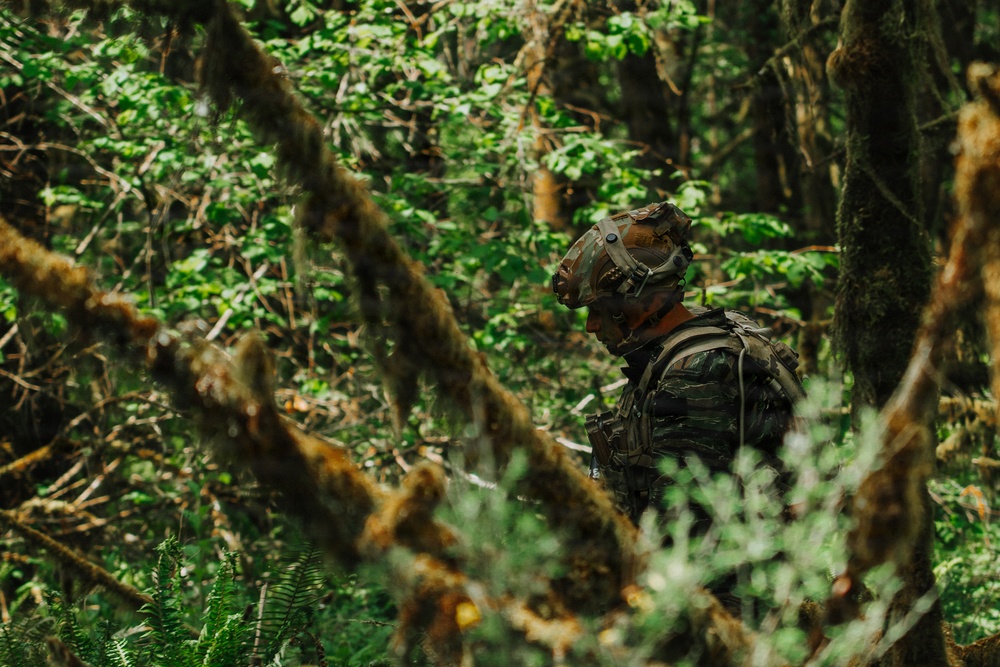 Western Strike integrates training for conventional and unconventional forces at JBLM