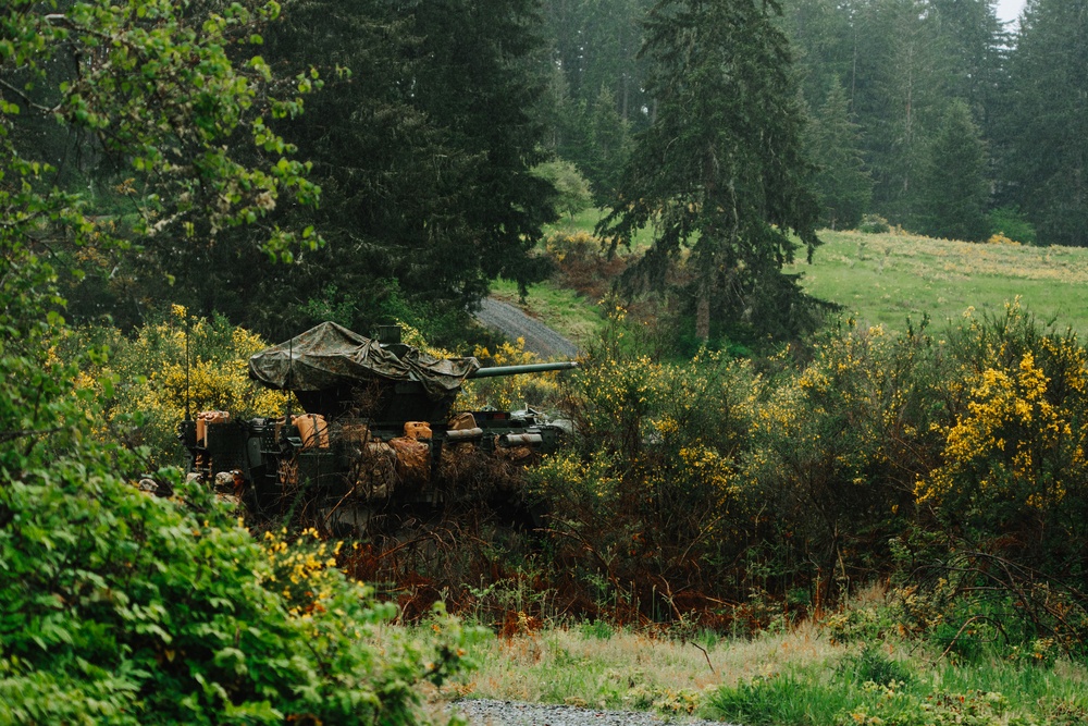 Western Strike integrates training for conventional and unconventional forces at JBLM