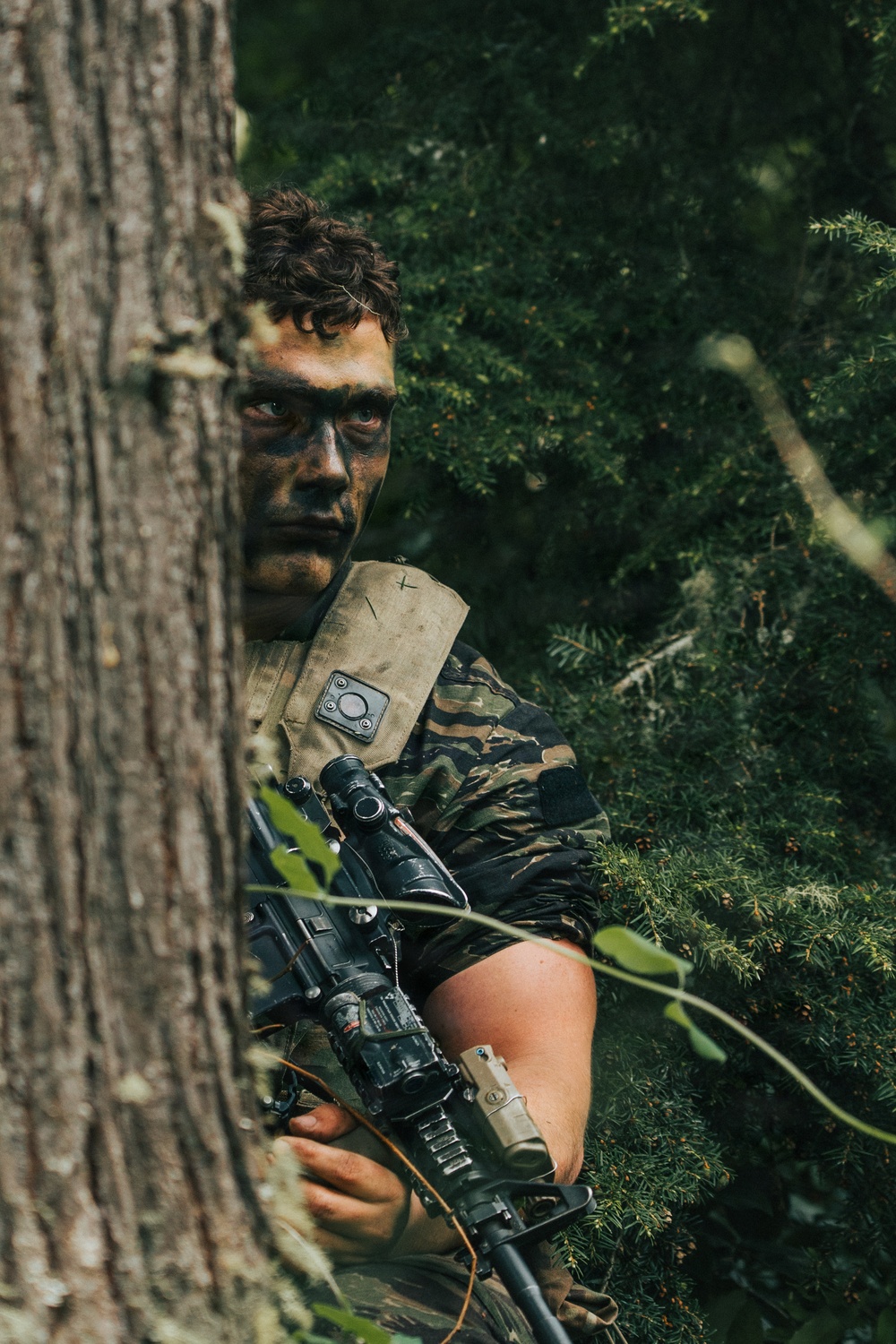 Western Strike integrates training for conventional and unconventional forces at JBLM