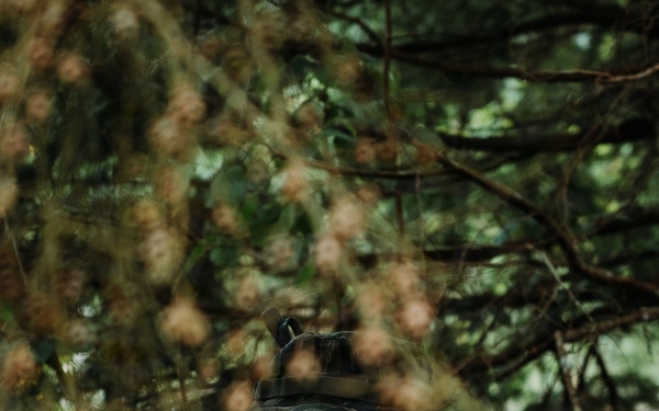 Western Strike integrates training for conventional and unconventional forces at JBLM