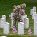 Fife and Drum Corps Conducts Flags In