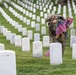 Fife and Drum Corps Conducts Flags In