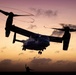 22nd MEU (SOC) | USS Iwo Jima Conducts Flight Operations