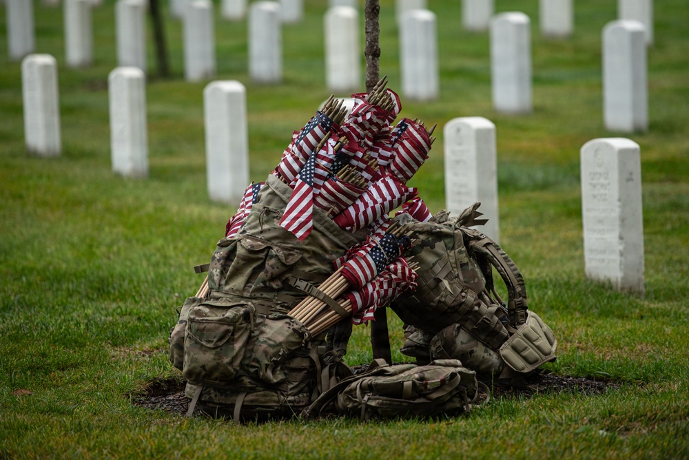 Flags In 2026 at Arlington National Cemetery