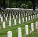 Flags In 2026 at Arlington National Cemetery