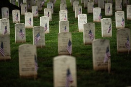 Flags In 2026 at Arlington National Cemetery