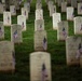 Flags In 2026 at Arlington National Cemetery