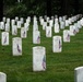 Flags In 2026 at Arlington National Cemetery
